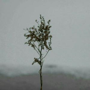 卡戴珊视频门未删减21分钟在线观看
